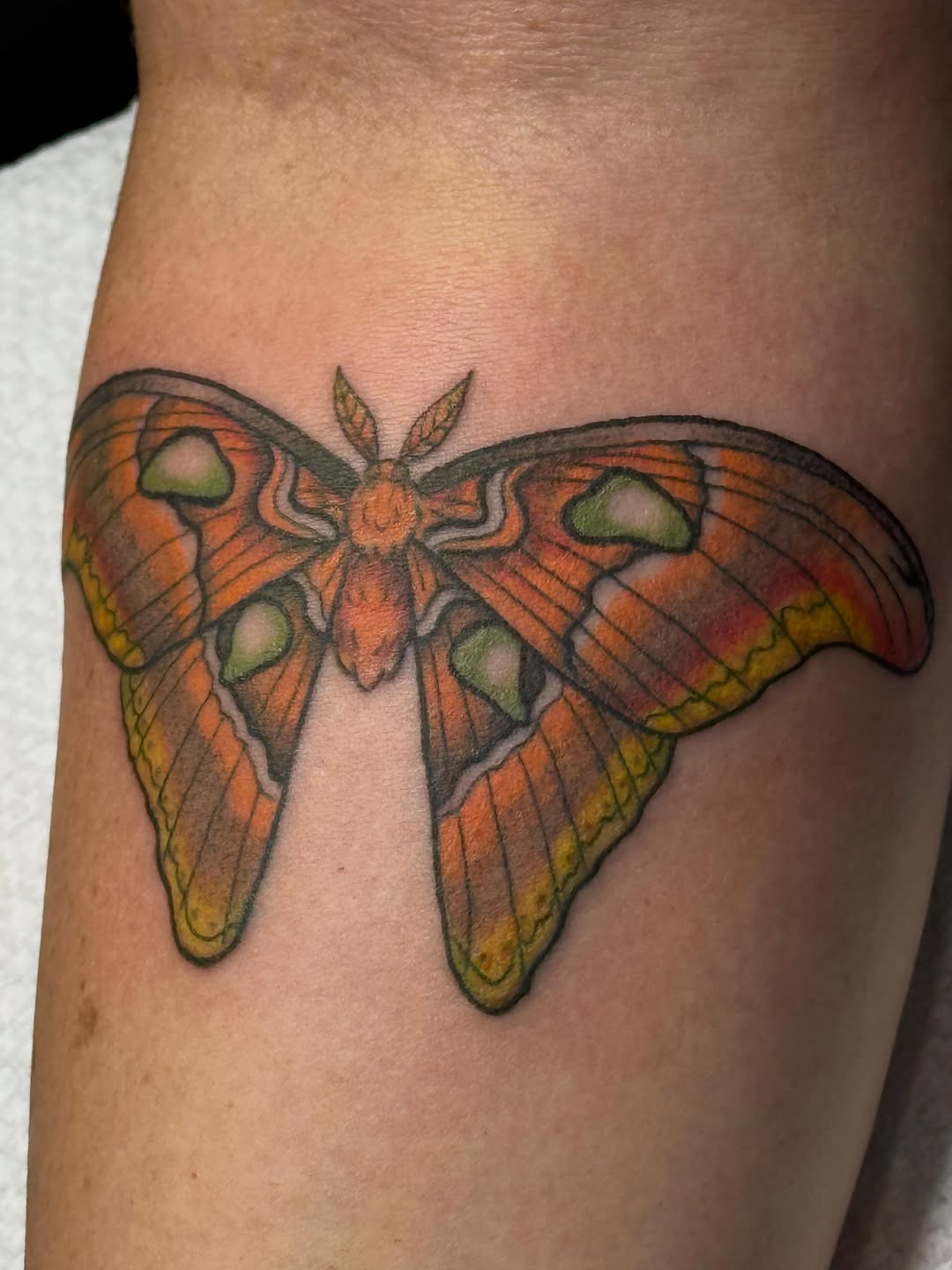 Tattoo by @bubblegum_and_bones — realism