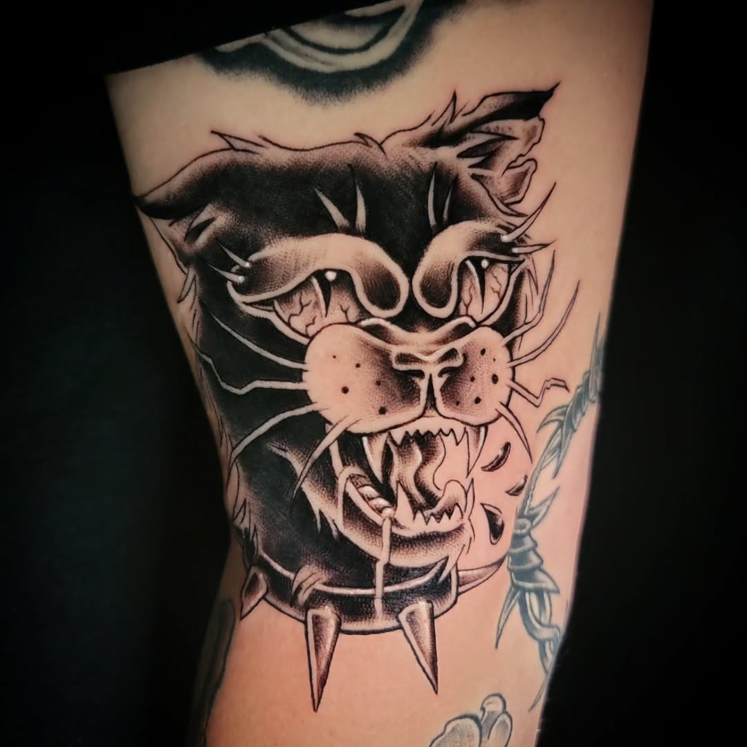 Tattoo by @suckafish_tattoos — american_traditional, black_and_grey