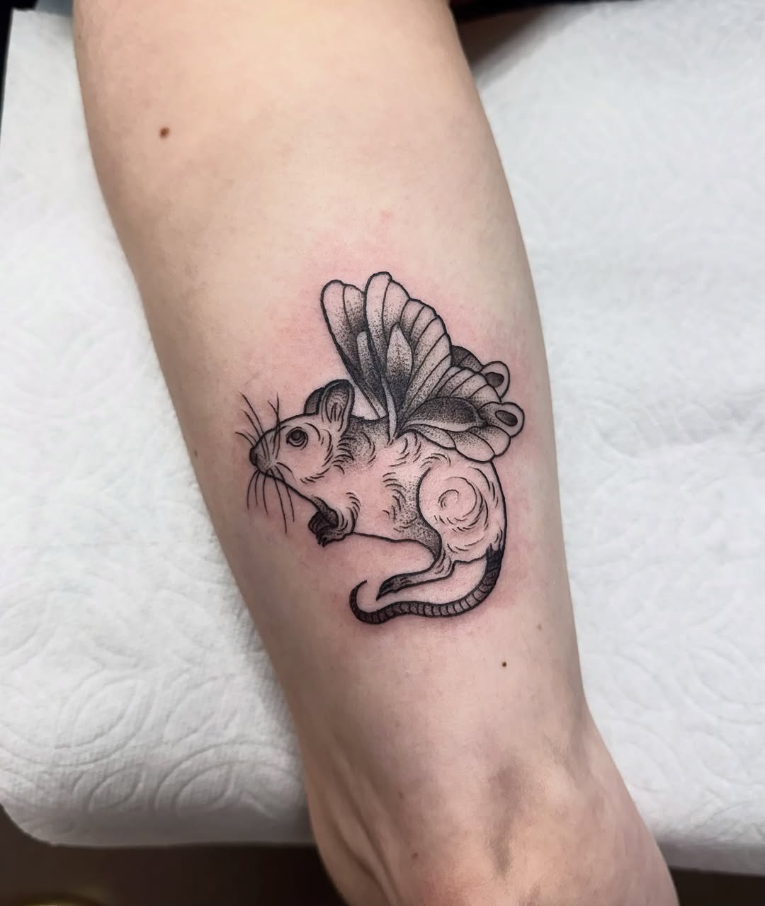 Tattoo by @kyrstalannigan — dotwork, black_and_grey