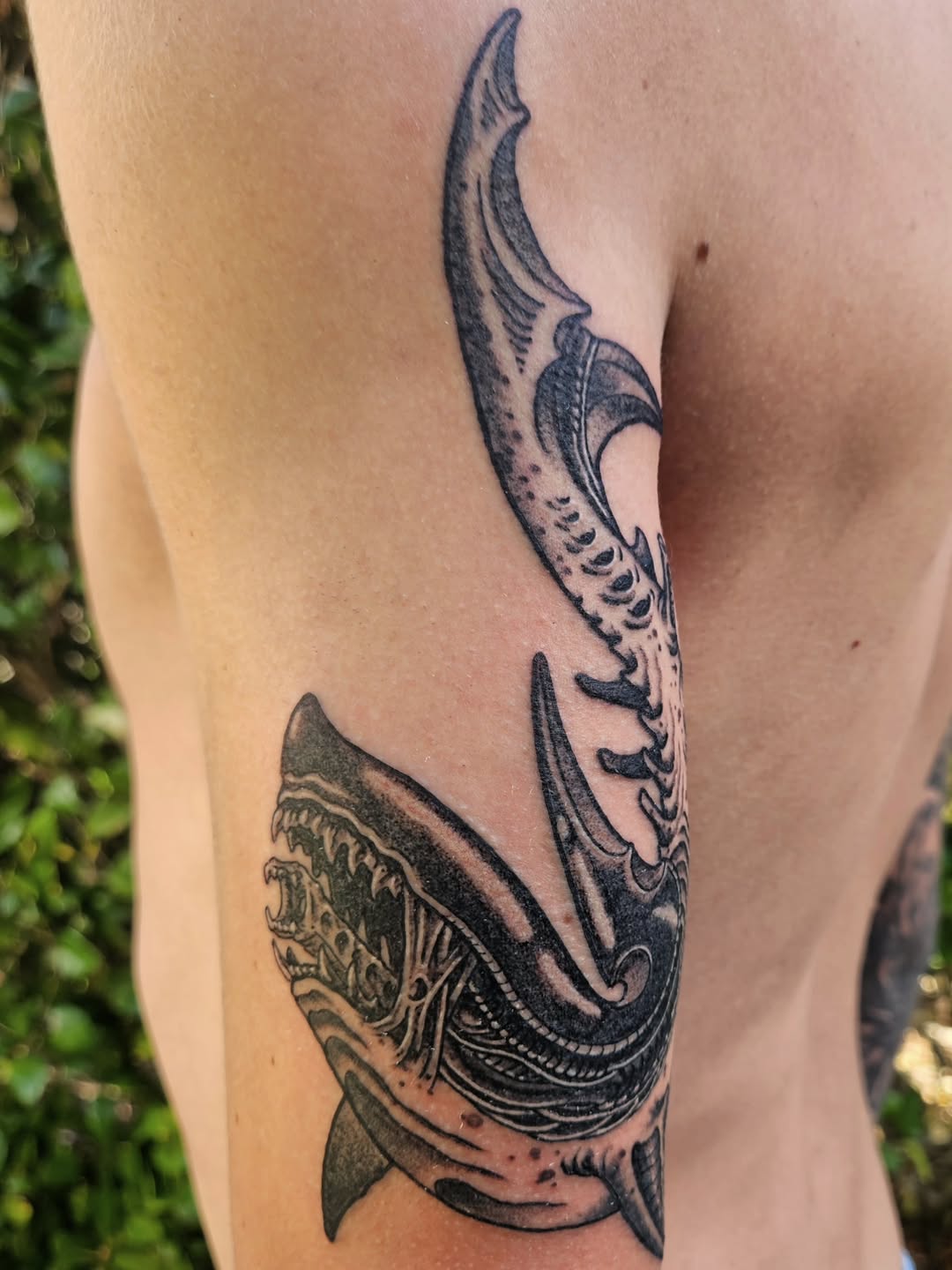 Tattoo by @owenmillertattoo — black_and_grey, realism