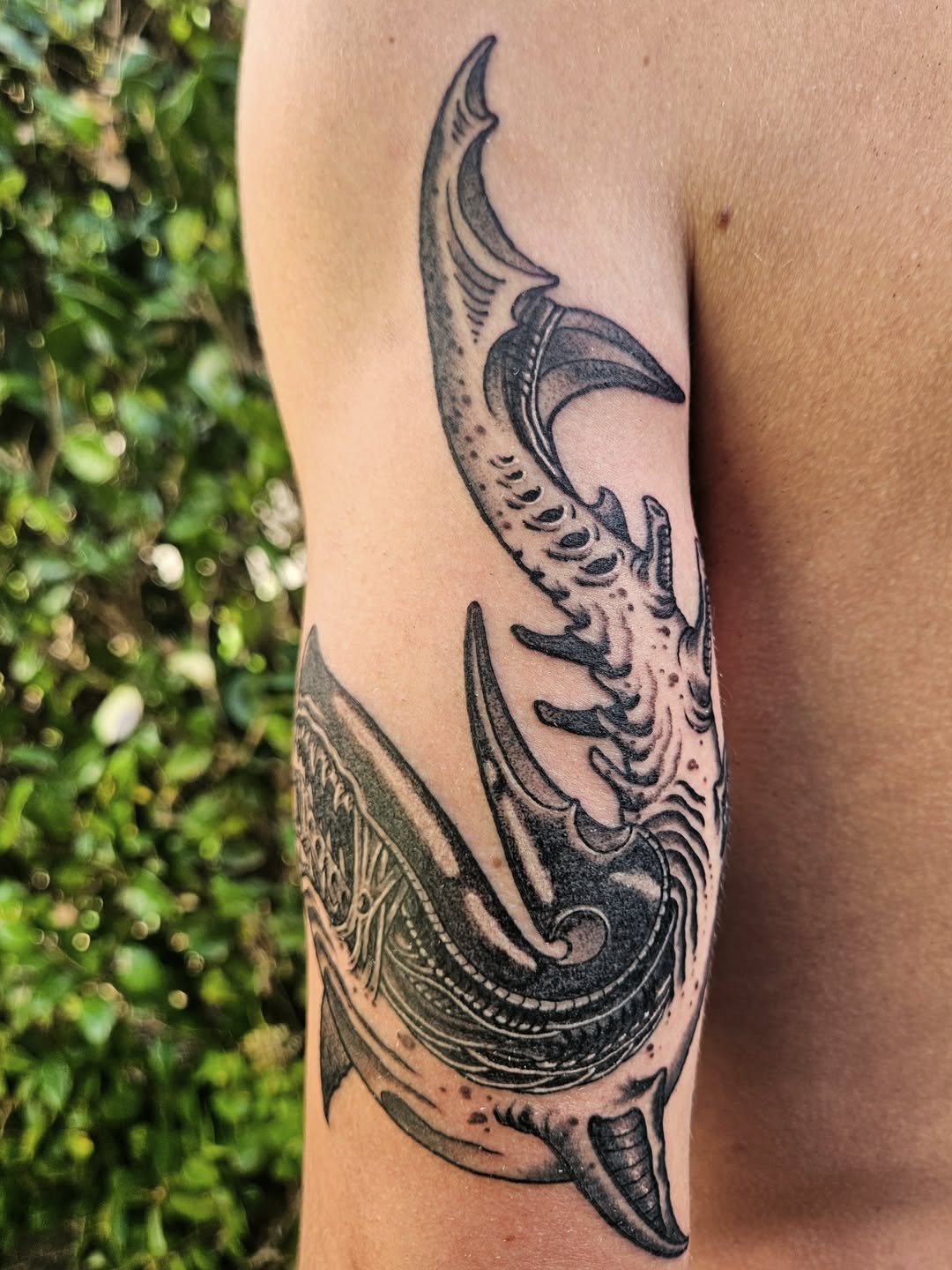 Tattoo by @owenmillertattoo — black_and_grey, realism
