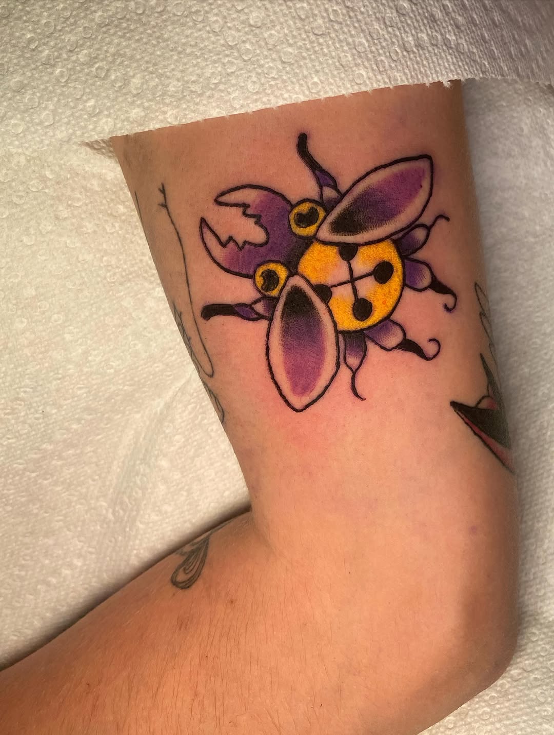 Tattoo by @cam.feraltattoos — american_traditional, illustrative