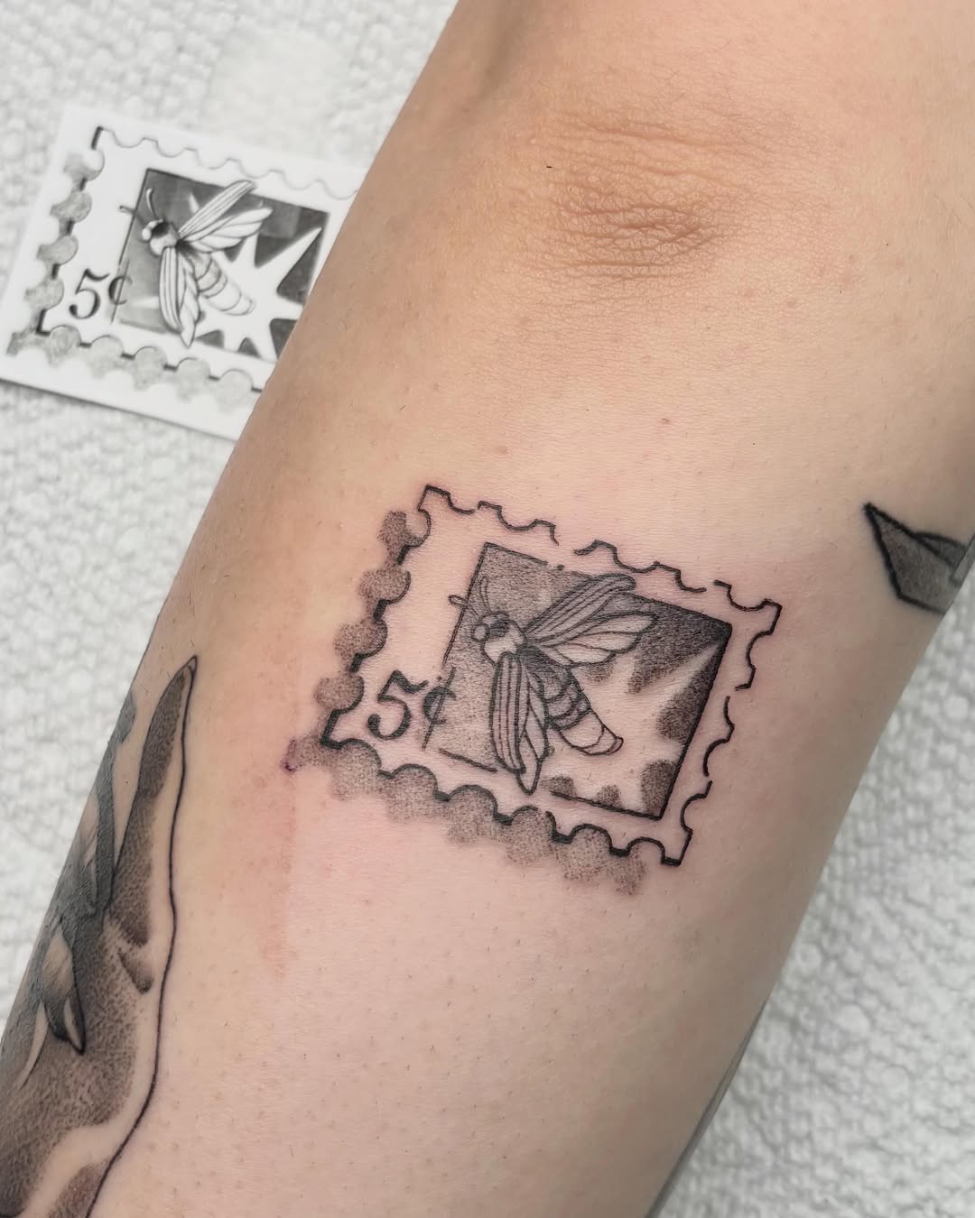 Tattoo by @vang.studio — illustrative, black_and_grey
