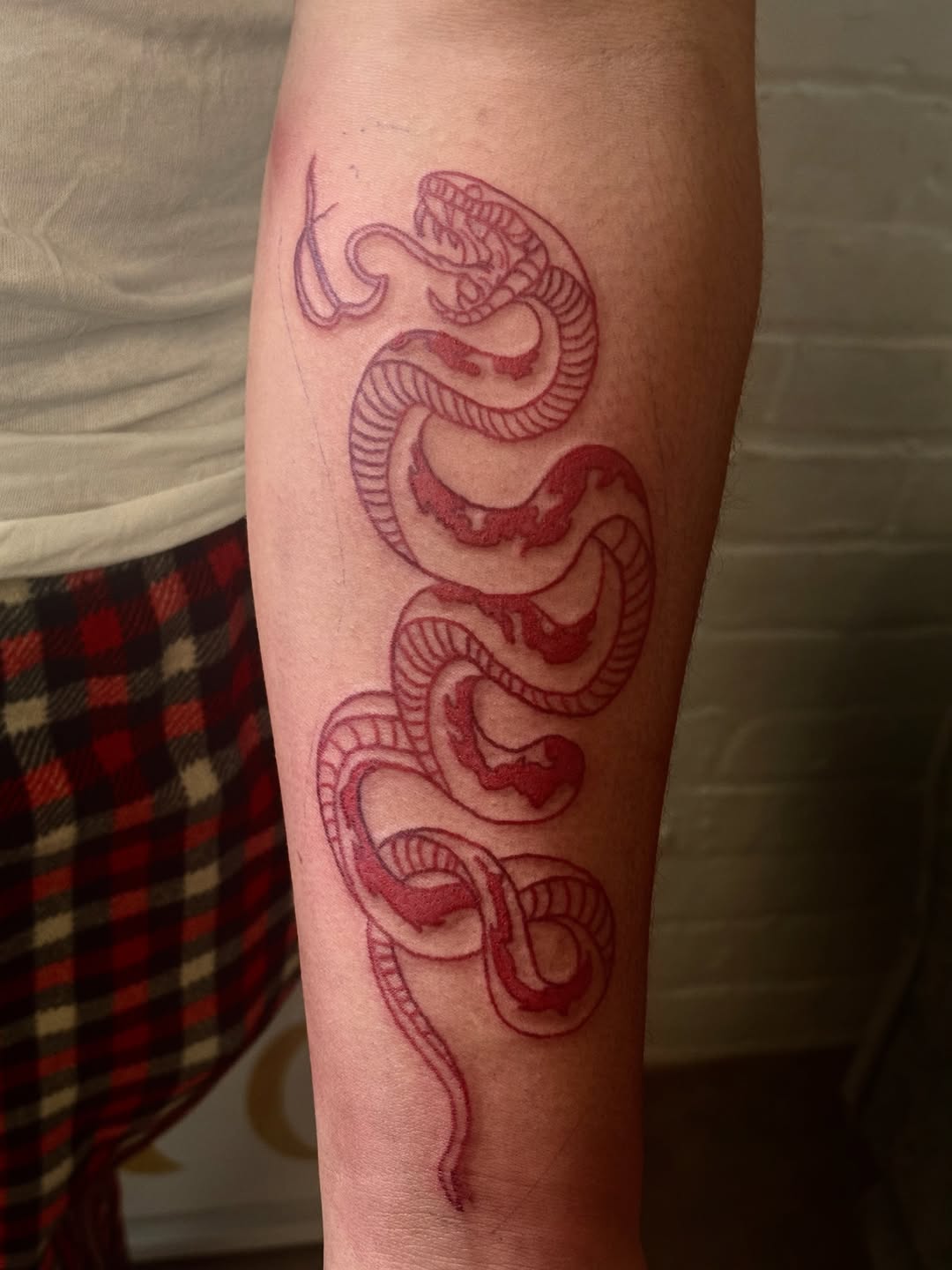 Tattoo by @mothboy_tattoo — sketch