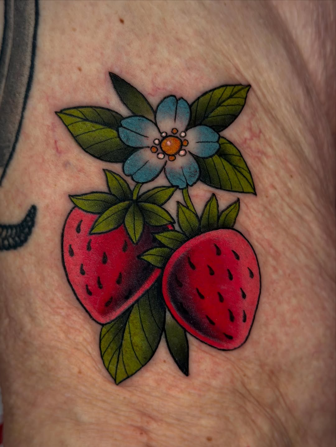 Tattoo by @devdoestattoos — american_traditional