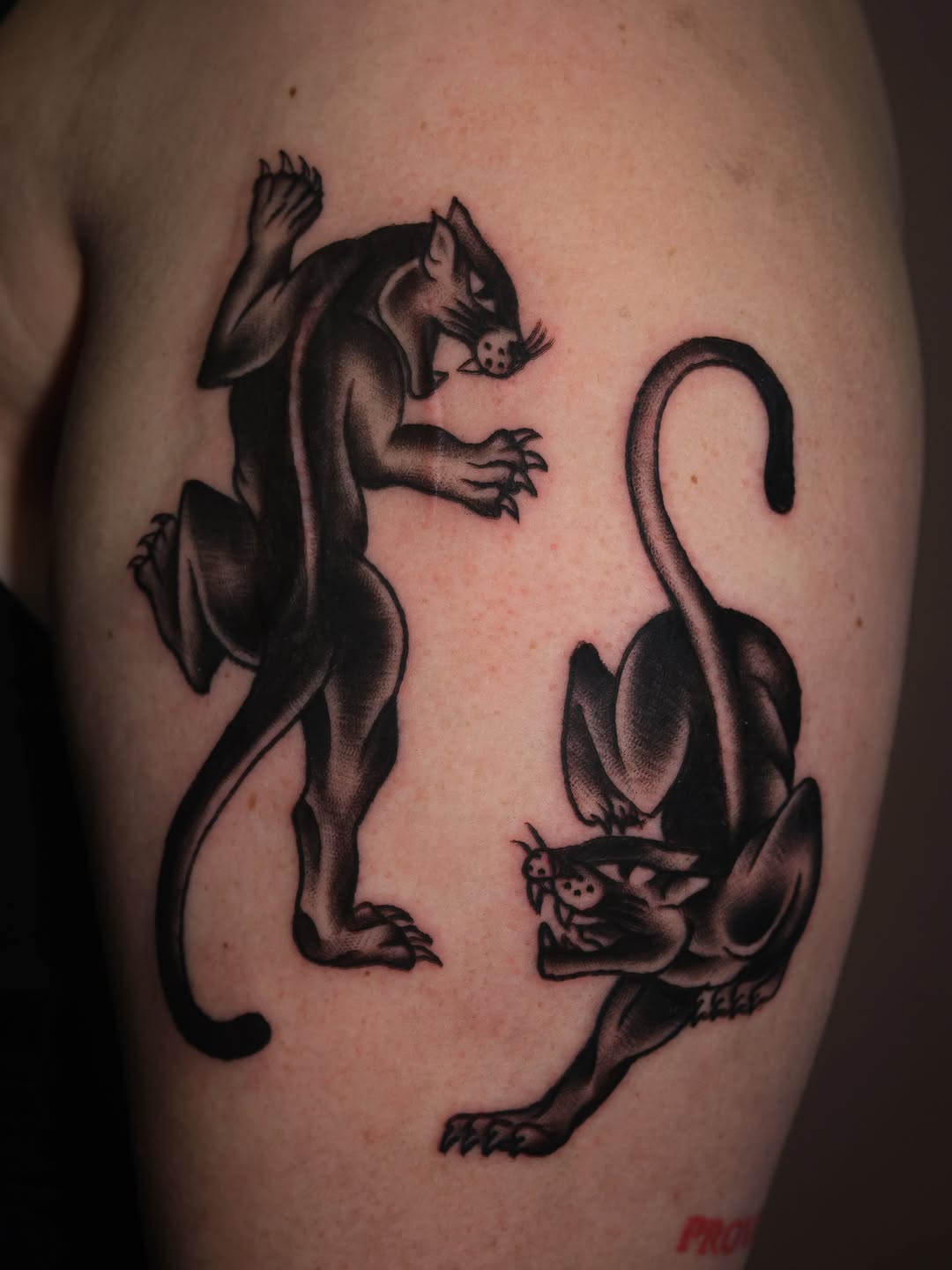 Tattoo by @high.hurdle.tattoo — american_traditional, blackwork