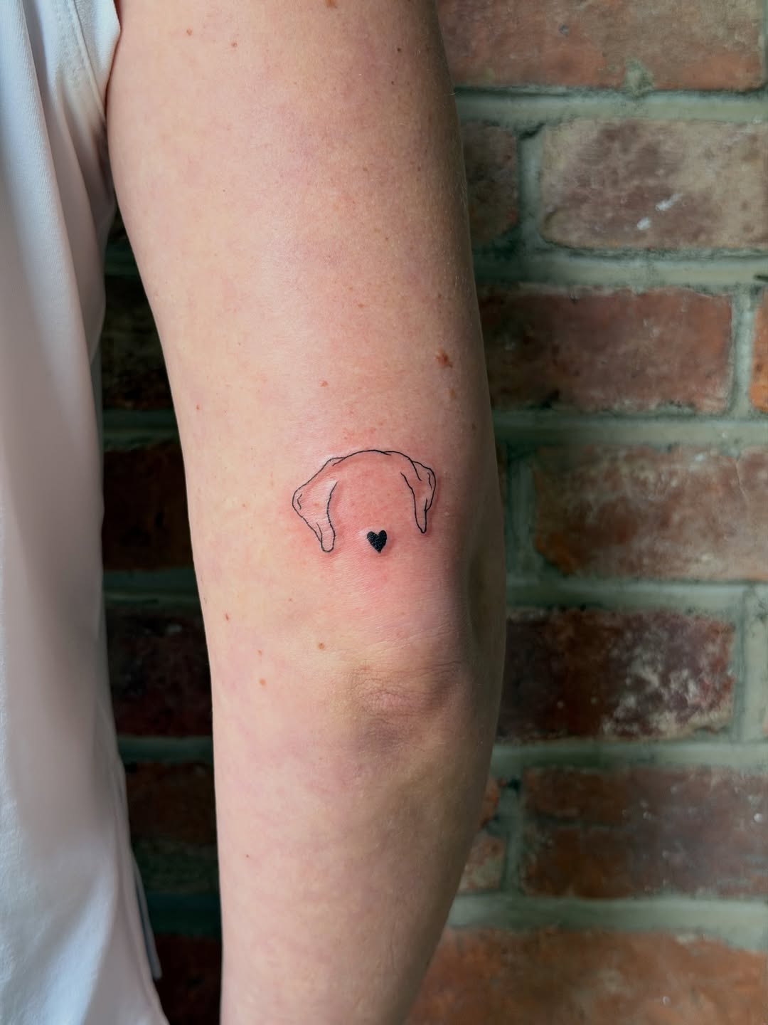 Tattoo by @n.libretti — fine_line, minimalist