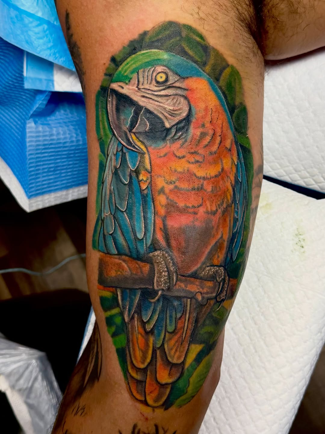 Tattoo by @jeffobrientattoos — realism, color