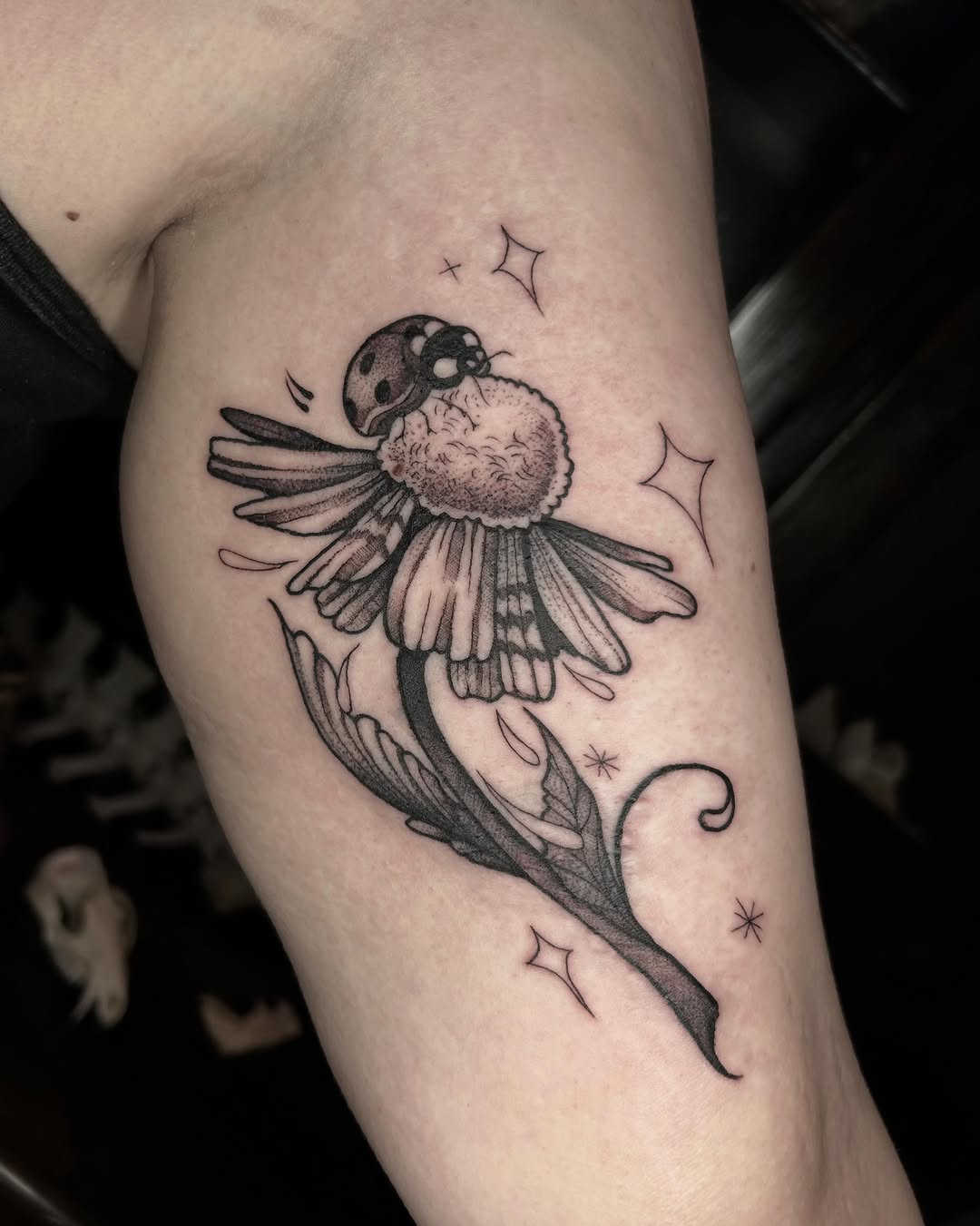 Tattoo by @dee.louisee — fine_line, black_and_grey