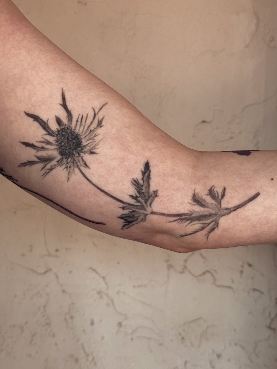 Tattoo by @cailintattoos — illustrative, black_and_grey