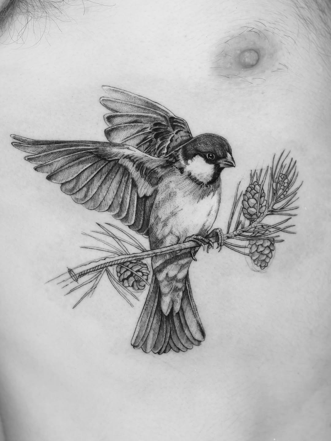 Tattoo by @tahinos.tattoo โ realism, black_and_grey