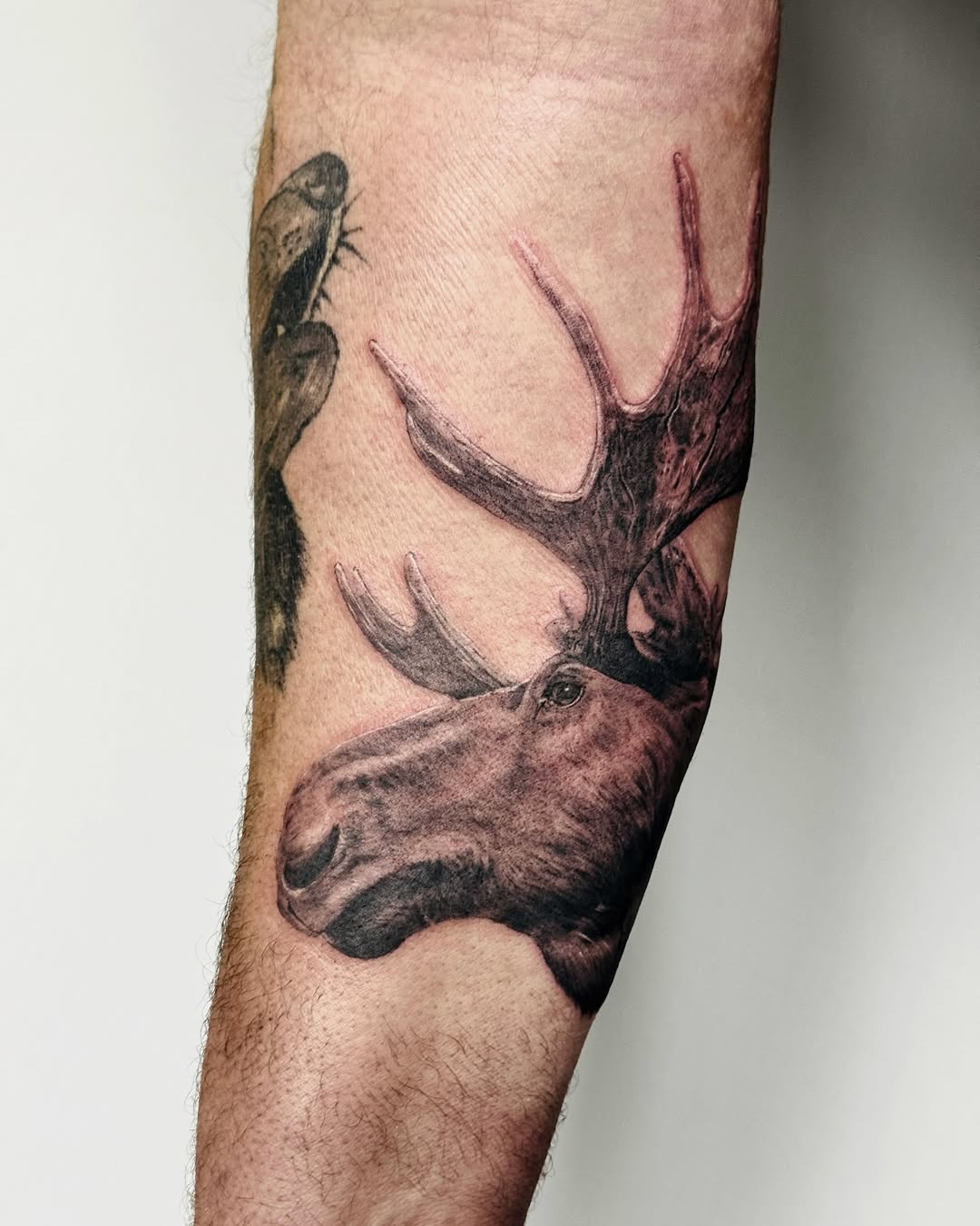Tattoo by @nonoka_tattoo — realism, black_and_grey