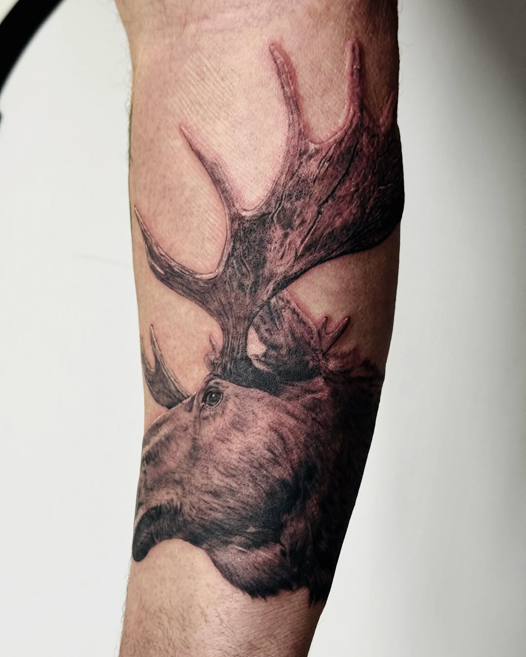 Tattoo by @nonoka_tattoo — realism, black_and_grey