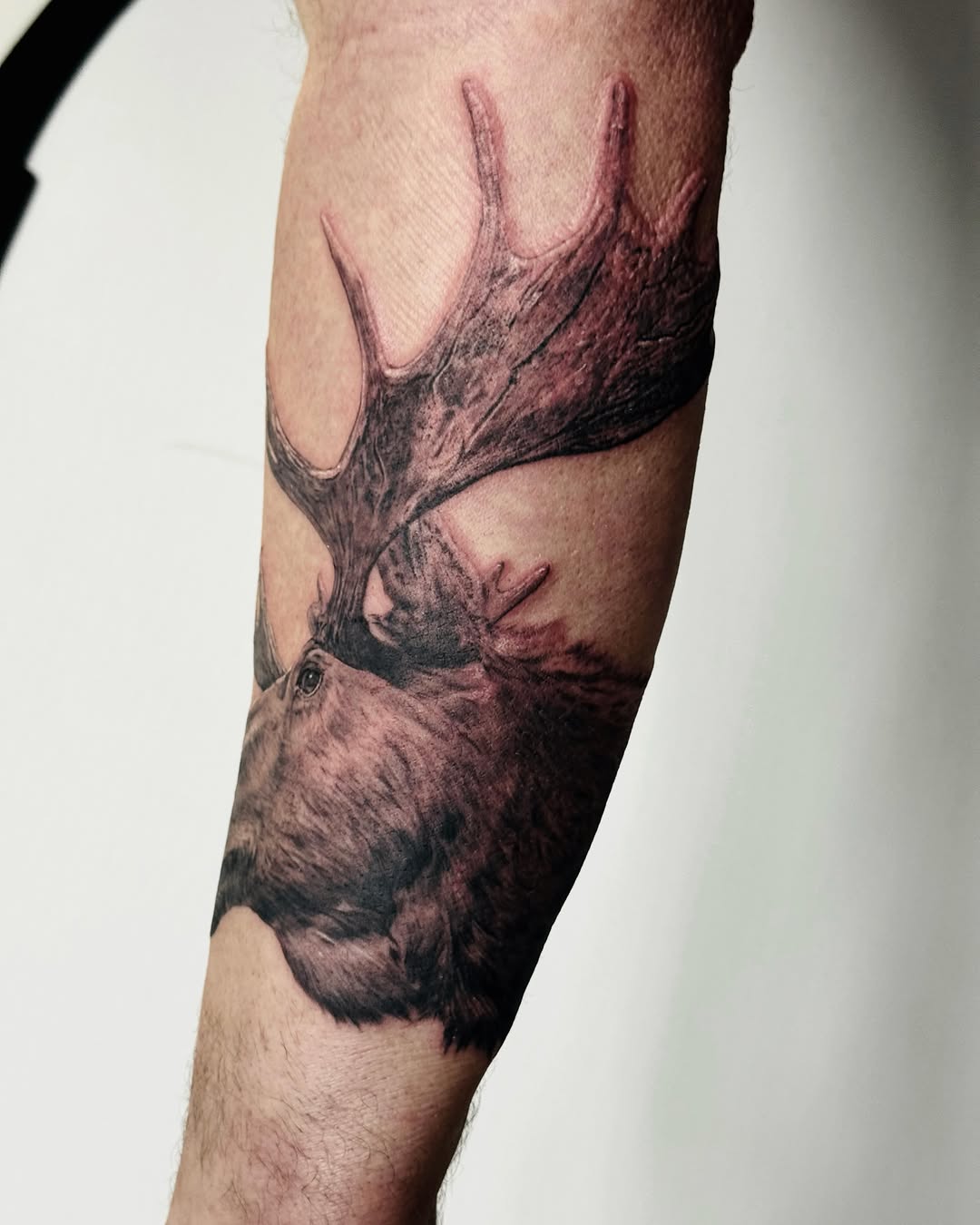 Tattoo by @nonoka_tattoo — realism, black_and_grey