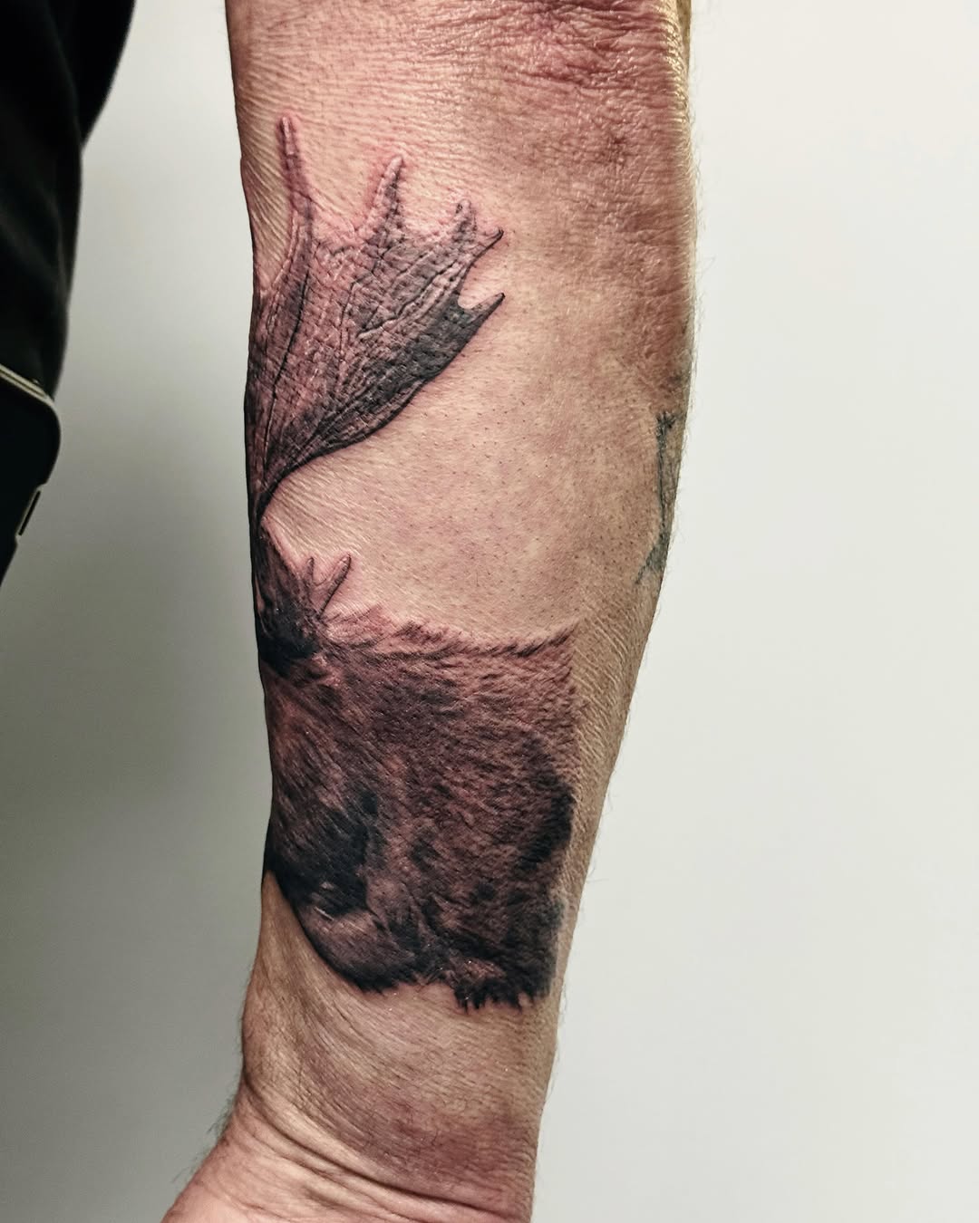 Tattoo by @nonoka_tattoo — realism, black_and_grey