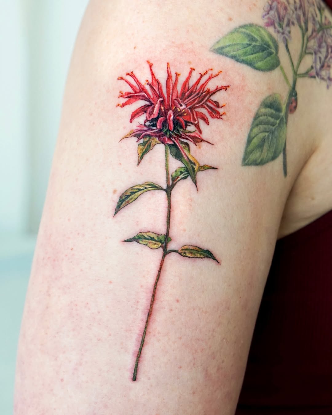 Tattoo by @1sle_tattoo — realism, fine_line