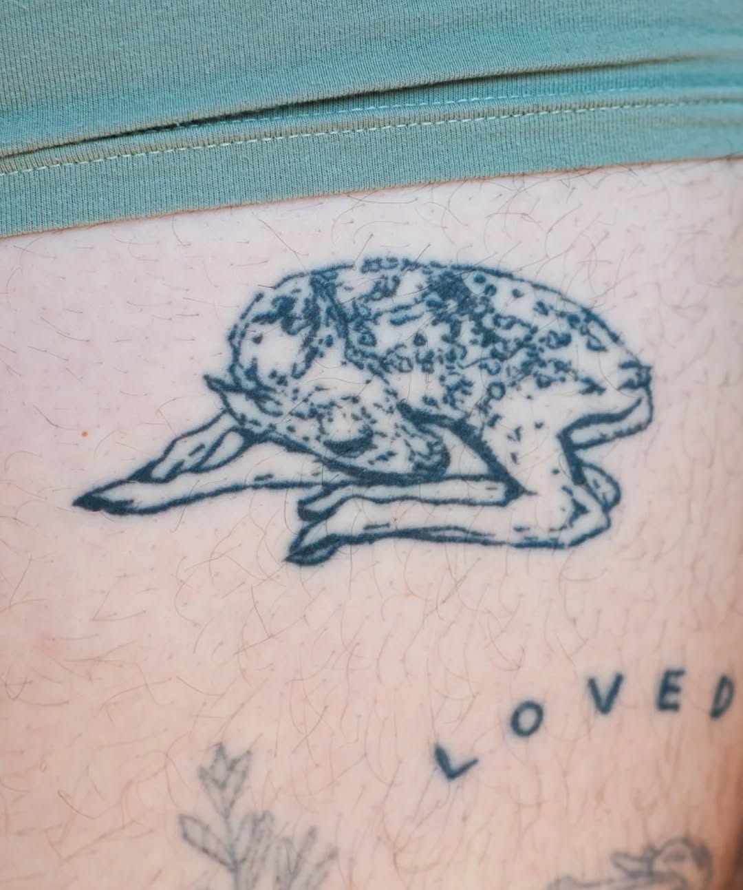 Tattoo by @fade_into_you_tatu_ — fine_line, sketch