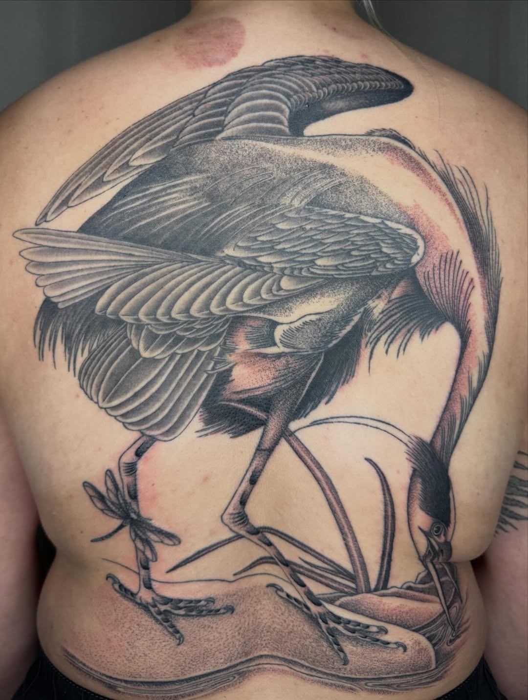 Tattoo by @mothmilk — black_and_grey, dotwork