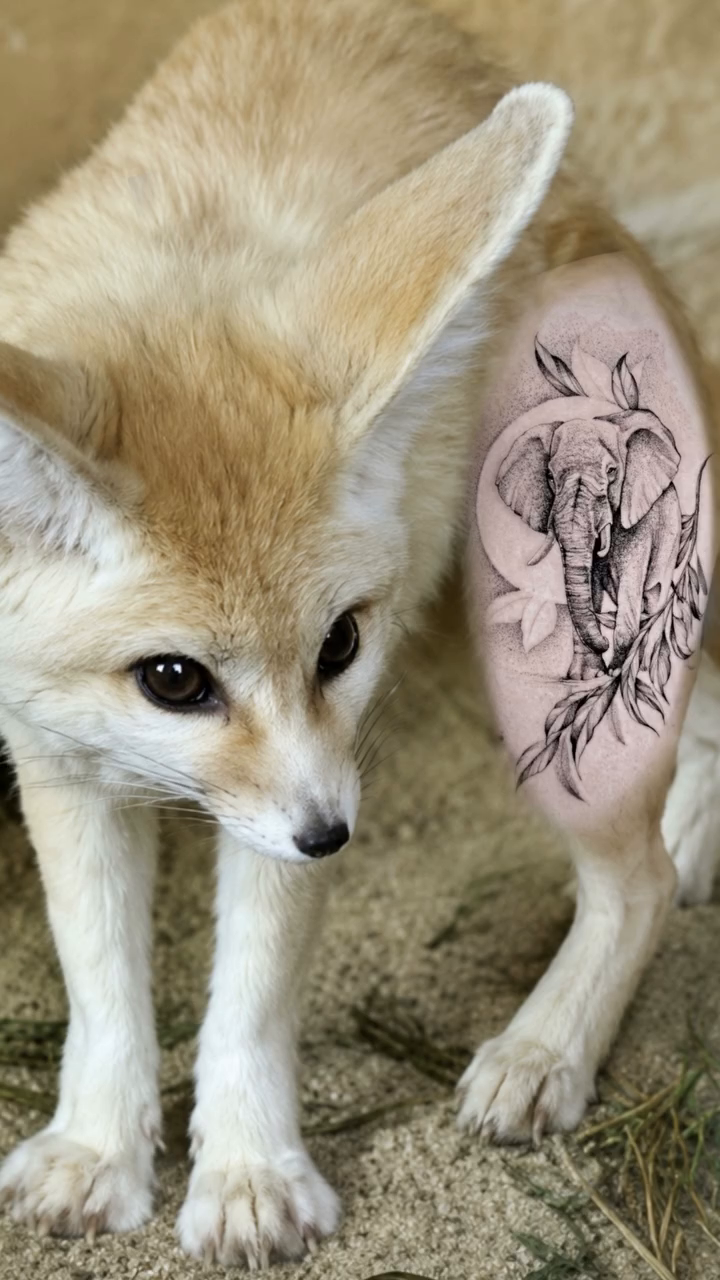 Tattoo by @brittany.beware — fine_line, black_and_grey