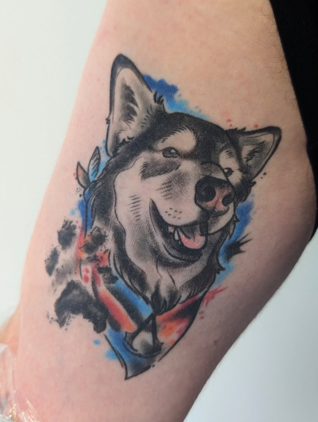 Tattoo by @_breezy.blue_ — realism, watercolor