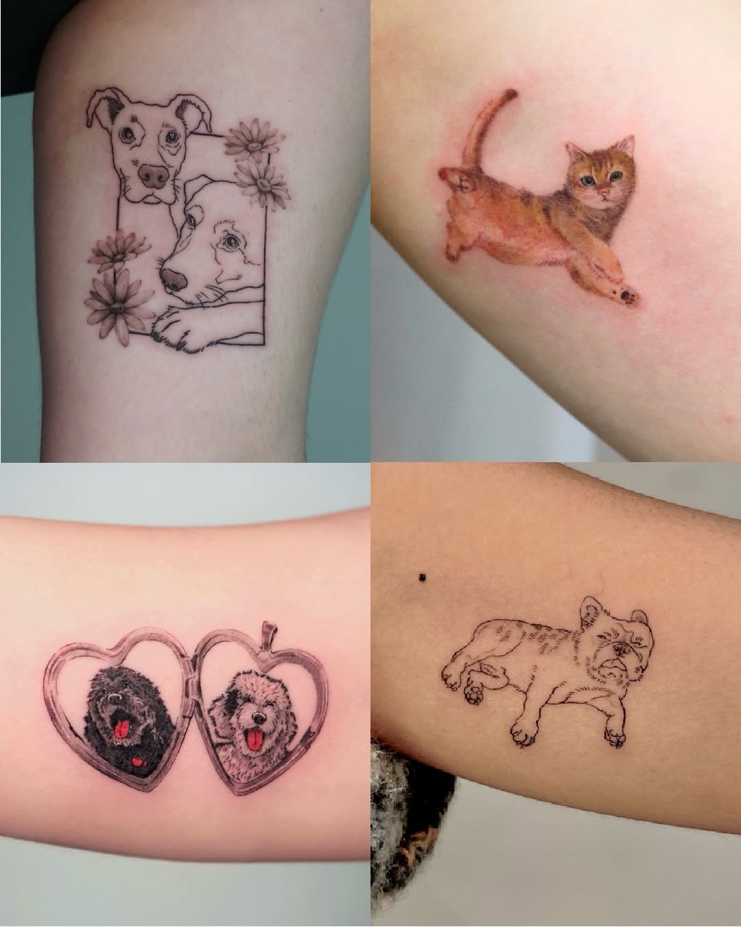 Tattoo by @kallo_tt — fine_line, realism