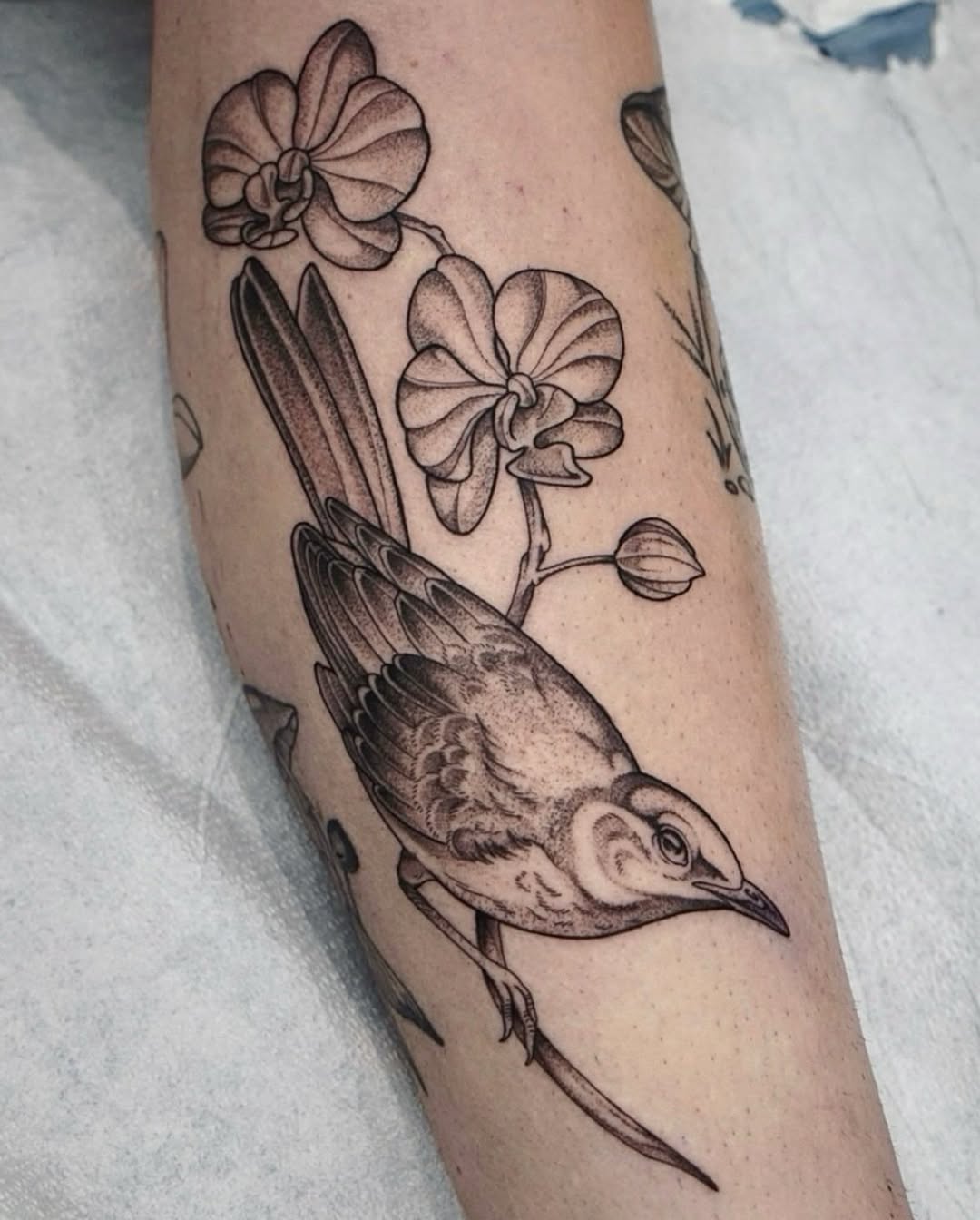 Tattoo by @horsegirltats — black_and_grey, realism