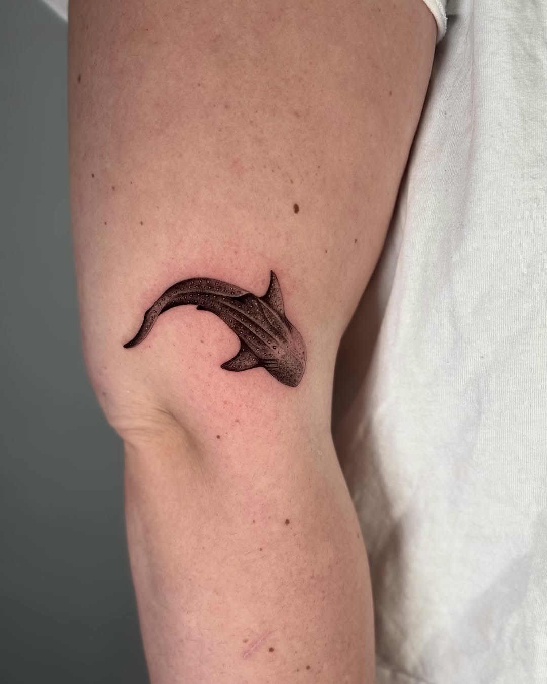 Tattoo by @finickyink โ realism, black_and_grey
