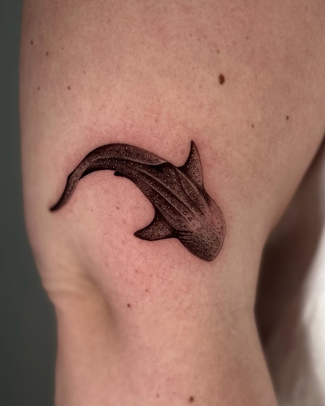 Tattoo by @finickyink โ realism, black_and_grey