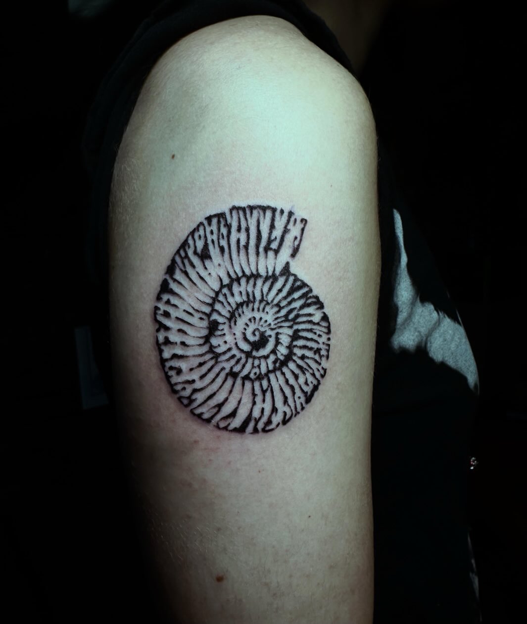 Tattoo by @thirteentatz — blackwork, dotwork