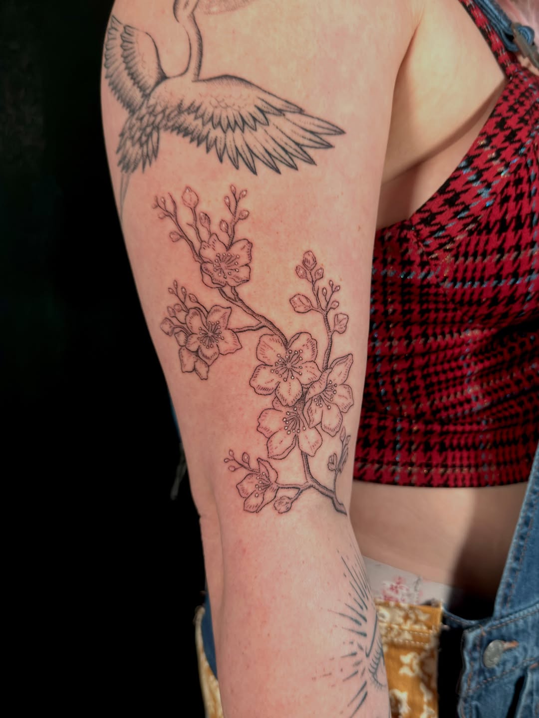 Tattoo by @tenderpoke — fine_line, illustrative