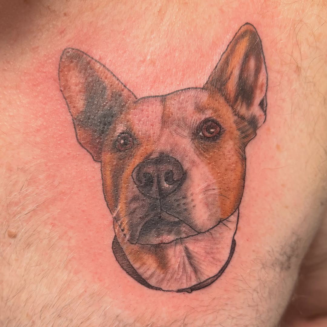 Tattoo by @_emilytattoos_ โ realism, black_and_grey
