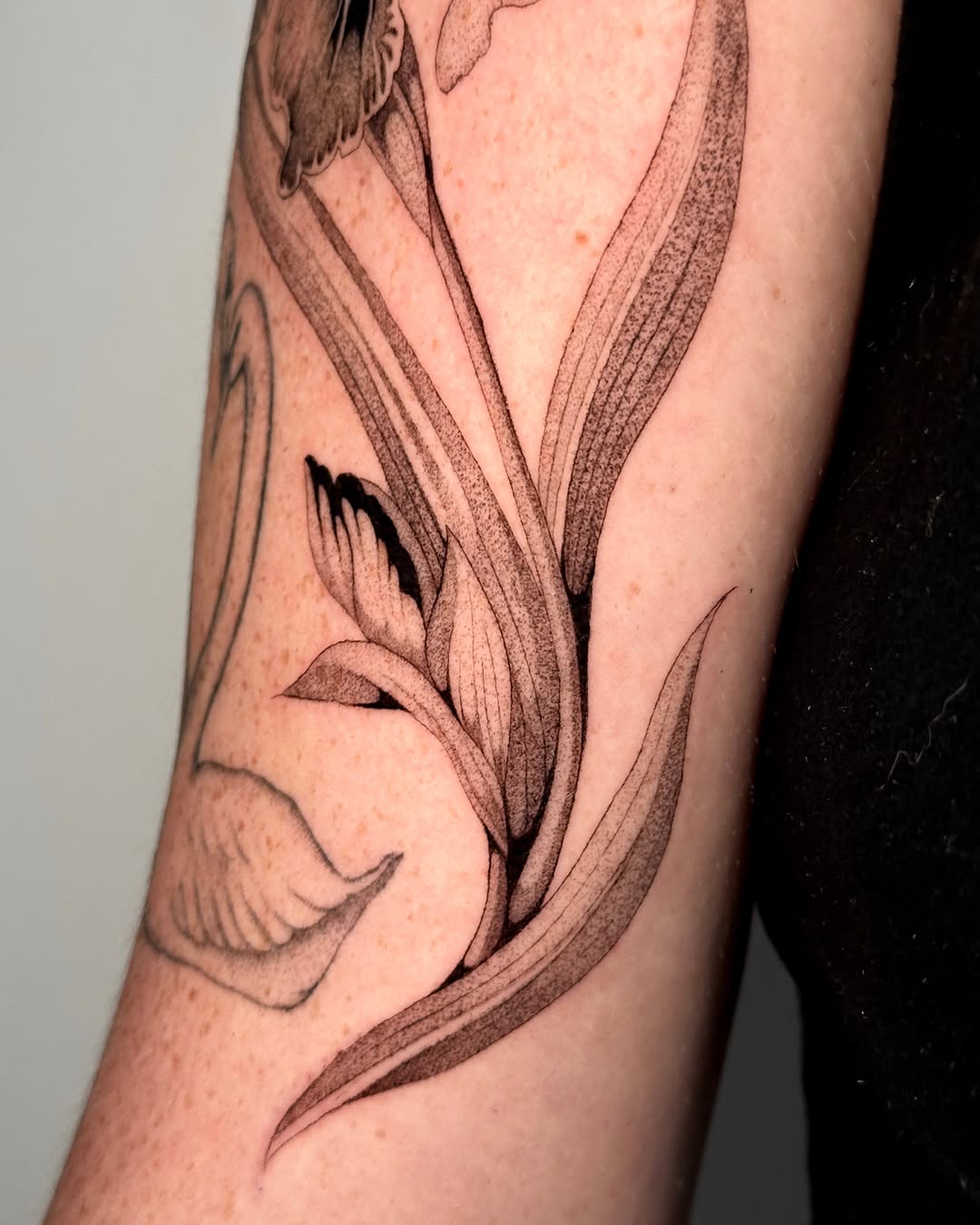 Tattoo by @tattoo.olive — illustrative, dotwork