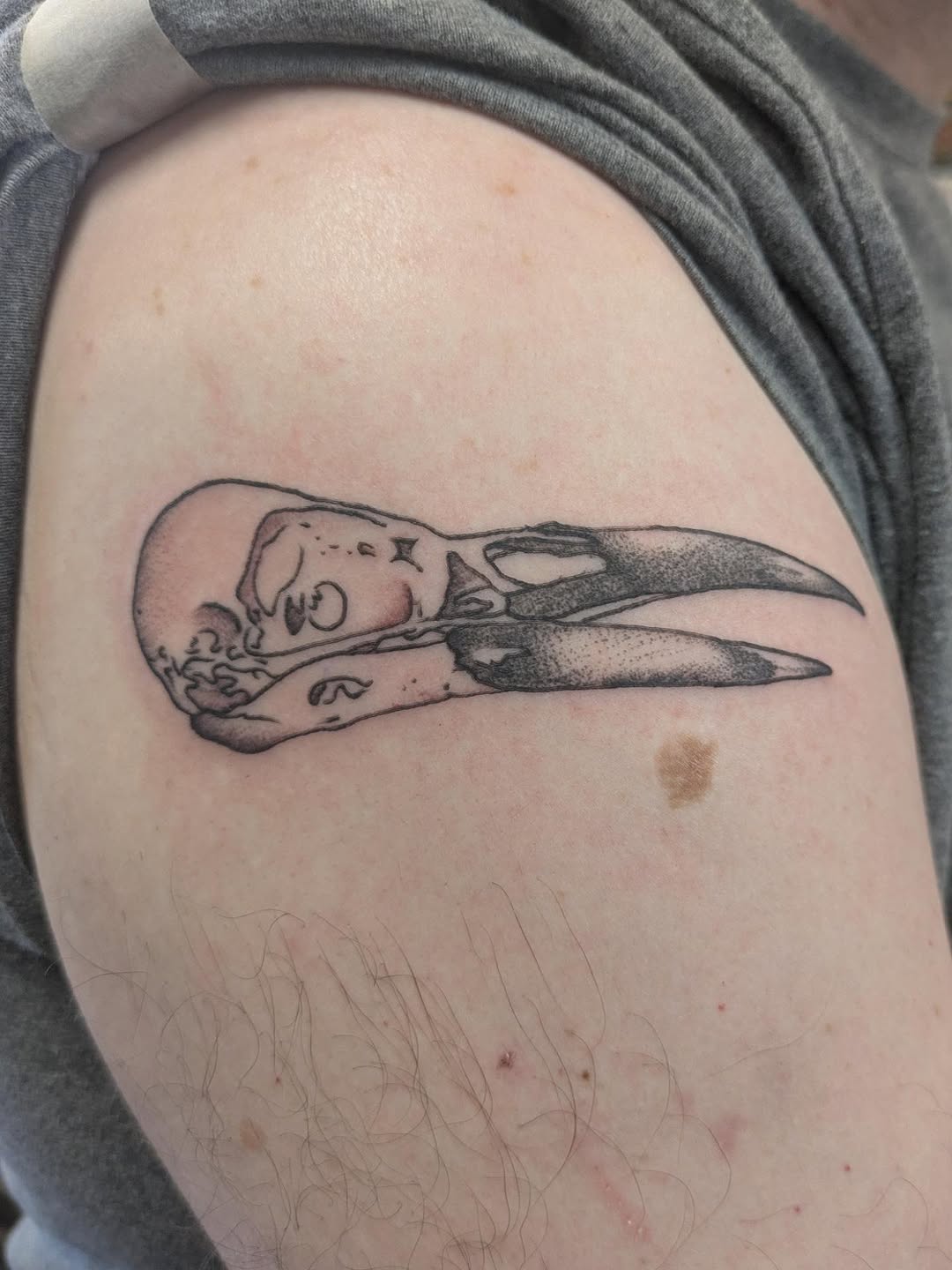 Tattoo by @beetlexbabe — realism, dotwork