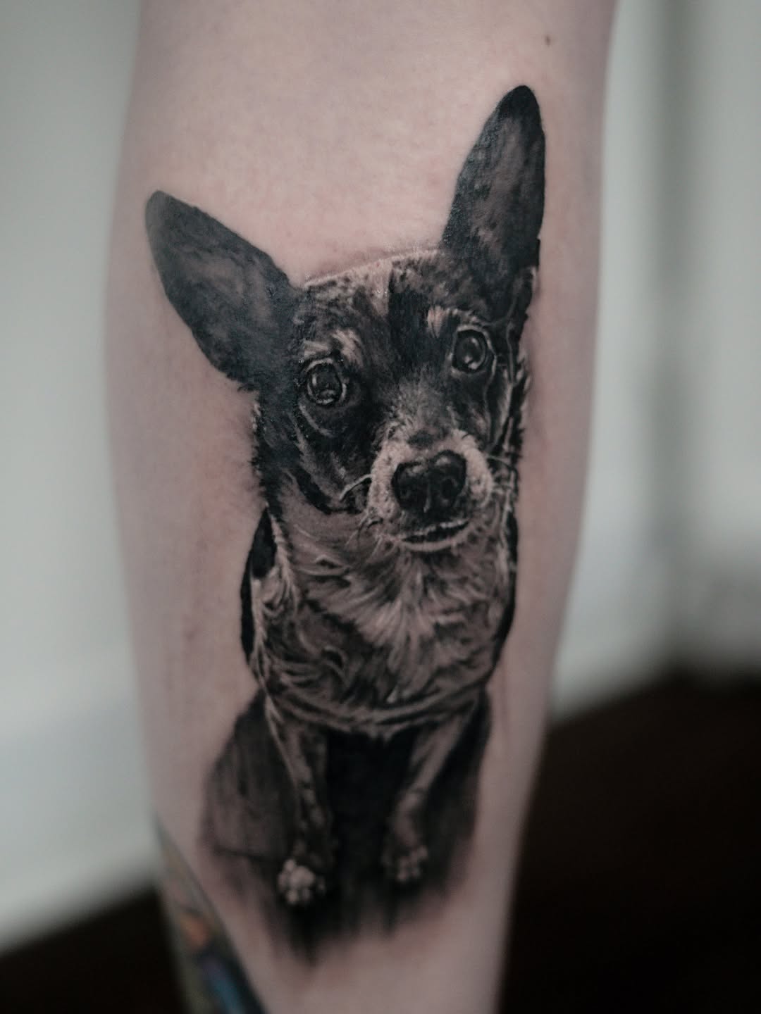 Tattoo by @mike.fd.tattoos — realism, black_and_grey