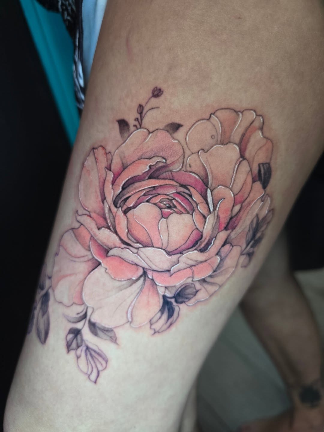 Tattoo by @frozenink_tattoo โ fine_line, watercolor