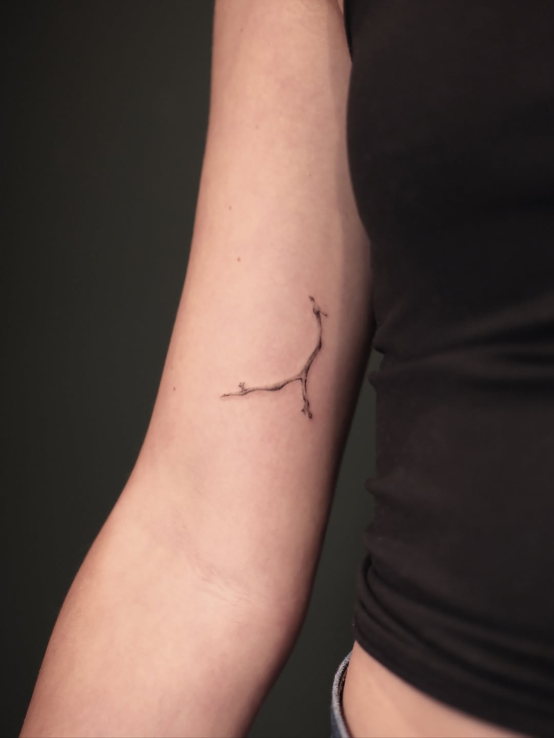 Tattoo by @snappy.dots — fine_line, illustrative