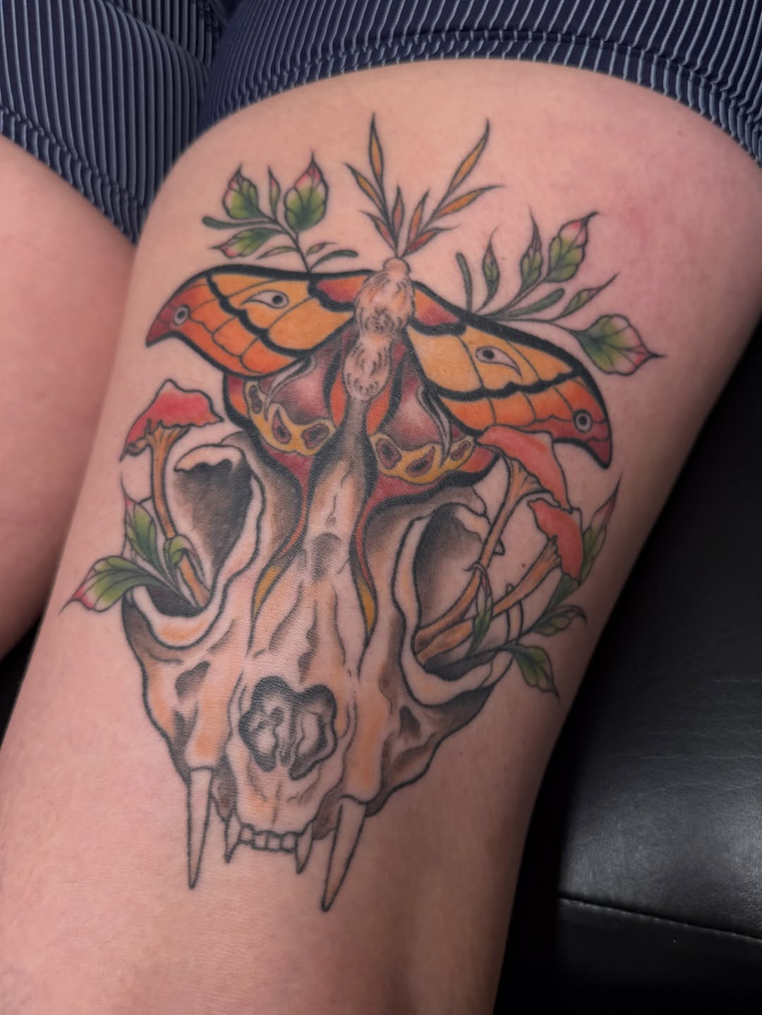 Tattoo by @seenaink — illustrative, neo_traditional