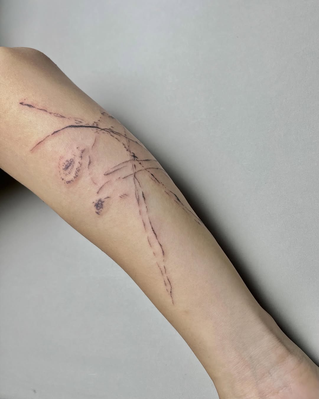 Tattoo by @tt.vetta — fine_line, sketch