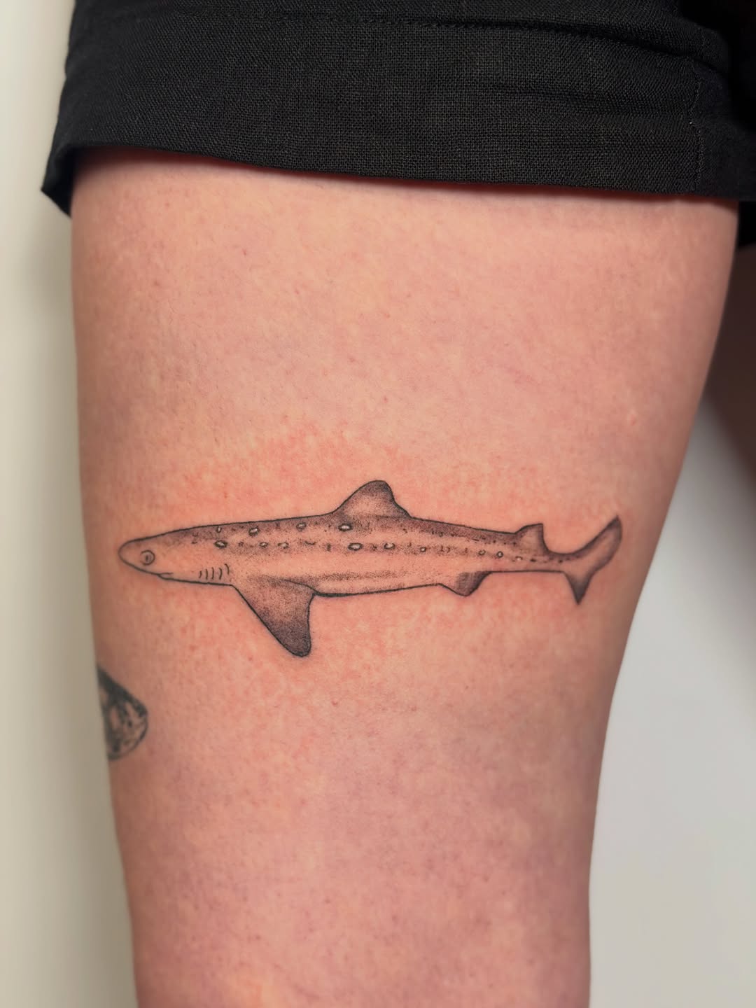 Tattoo by @pokedbylaskie — black_and_grey