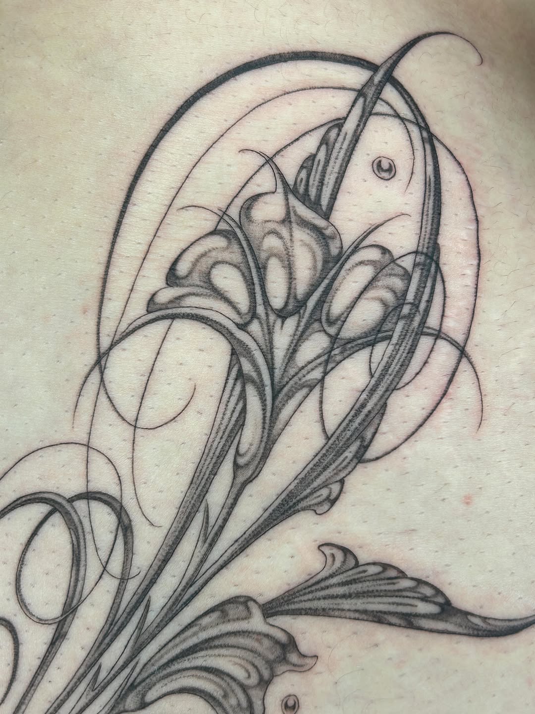 Tattoo by @late_bloom3r โ black_and_grey, ornamental