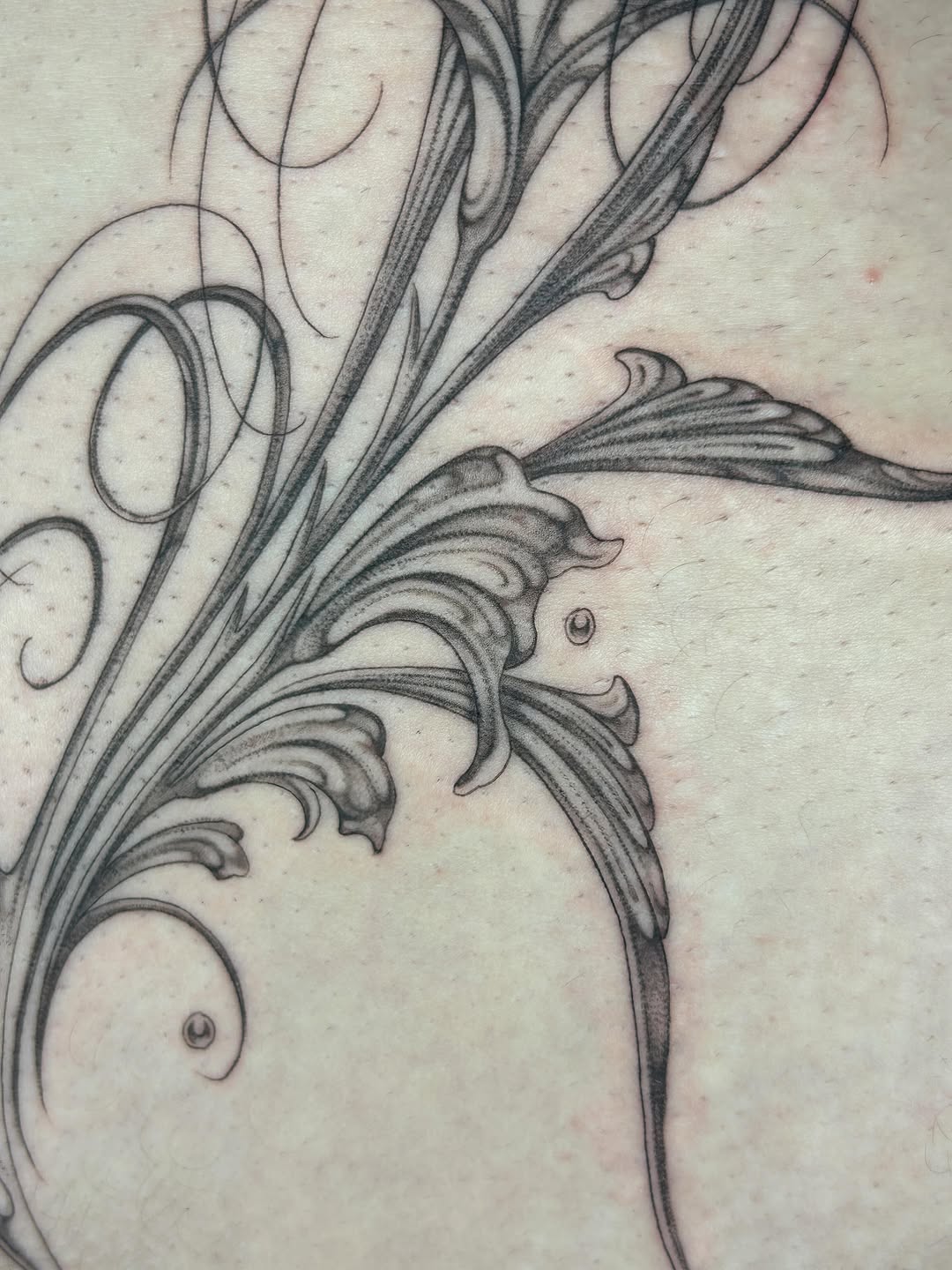 Tattoo by @late_bloom3r โ ornamental, fine_line