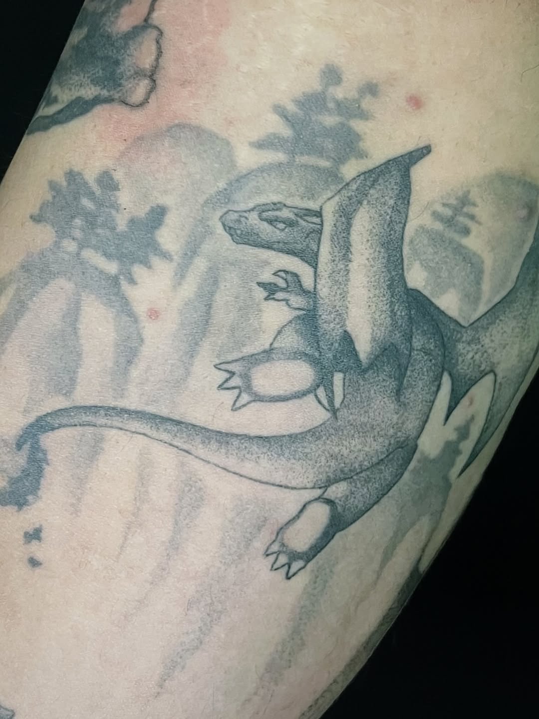 Tattoo by @maggieatattoo — black_and_grey, realism