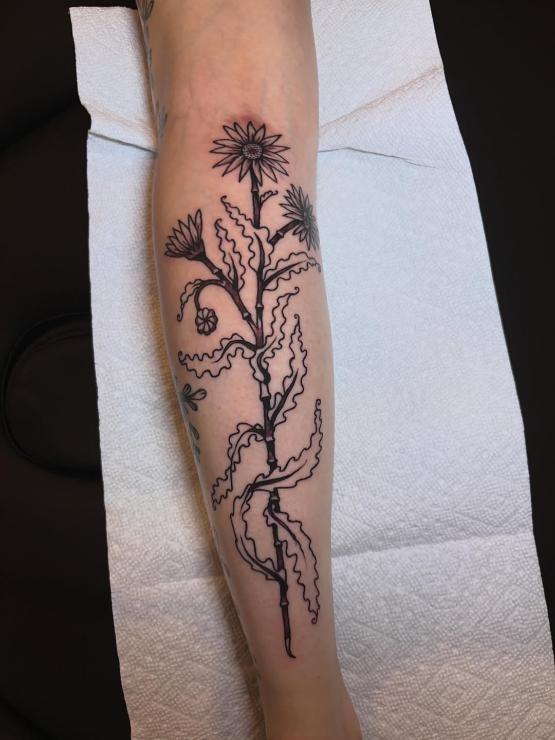 Tattoo by @easy_peezy_pokes โ fine_line