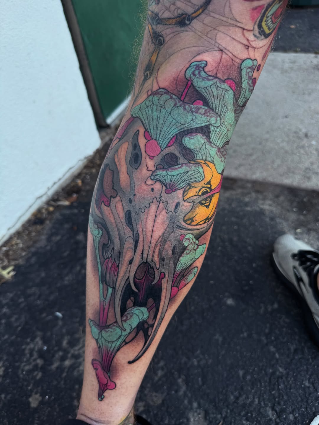 Tattoo by @sacred_crow — trash_polka, new_school