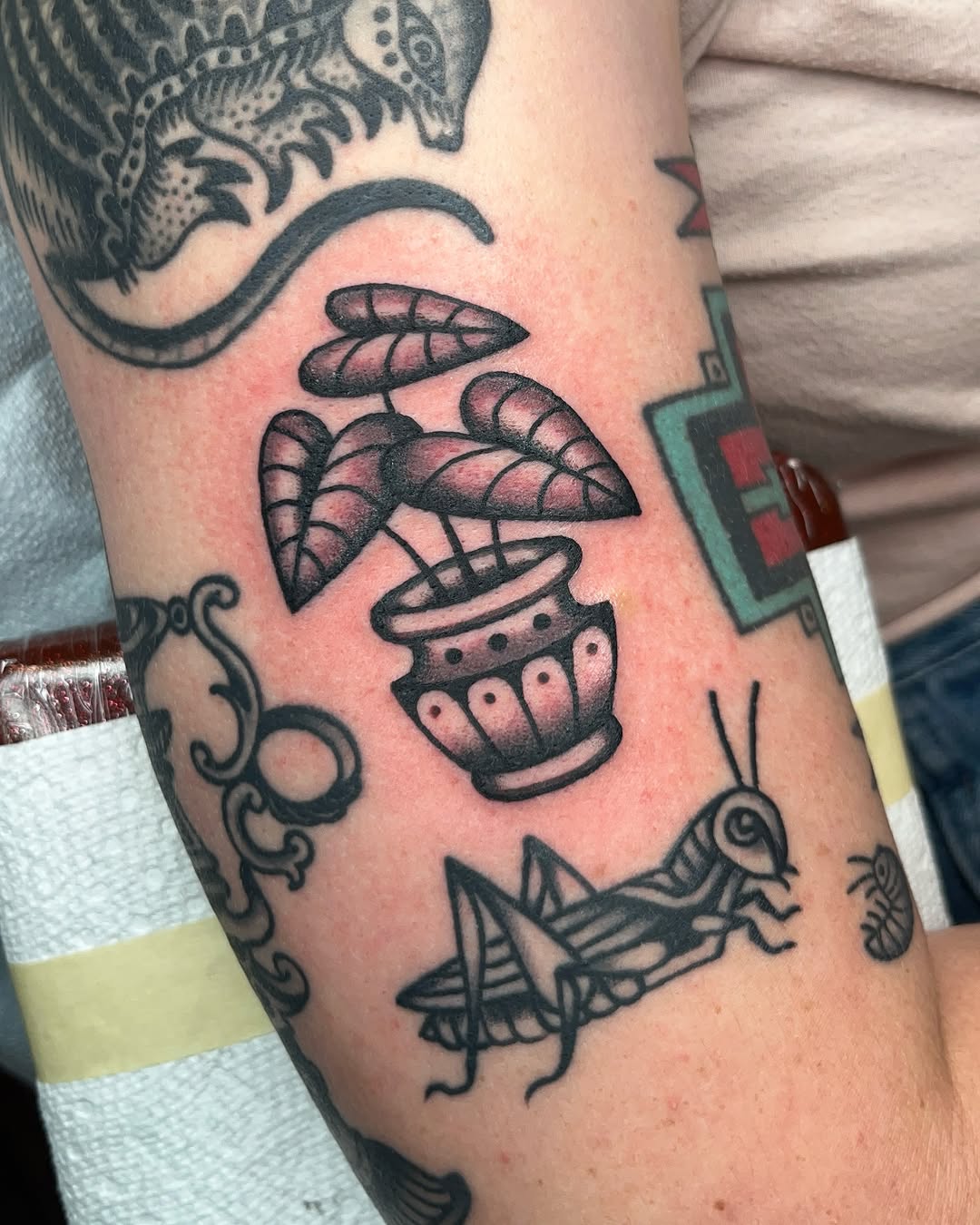 Tattoo by @natpowertat — american_traditional