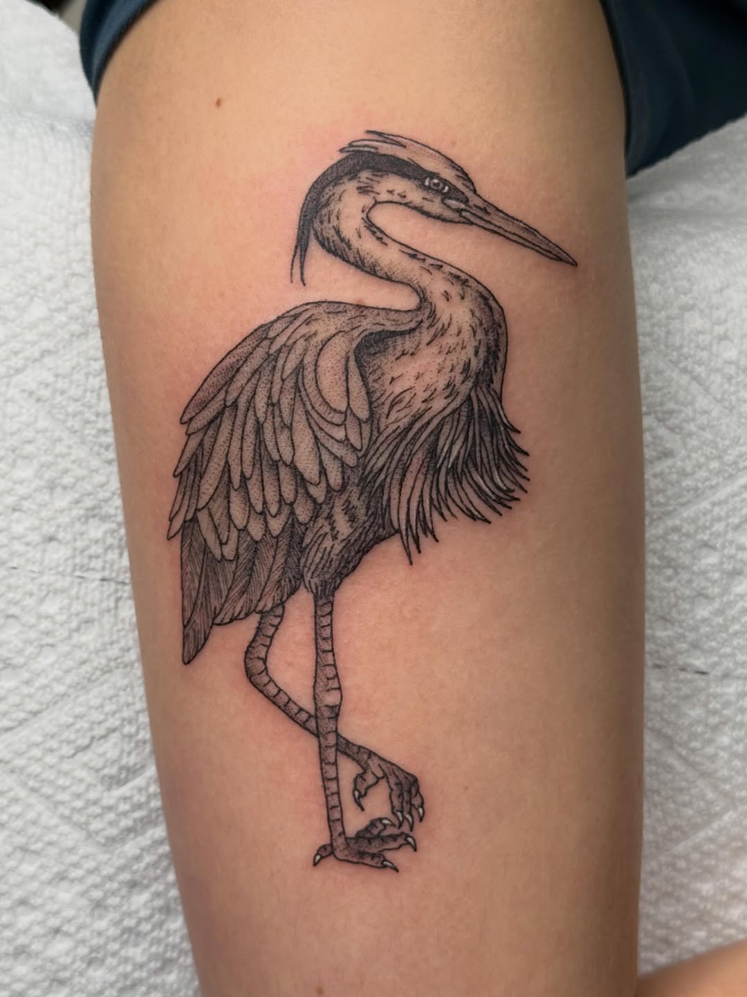 Tattoo by @catastrophepoke — dotwork