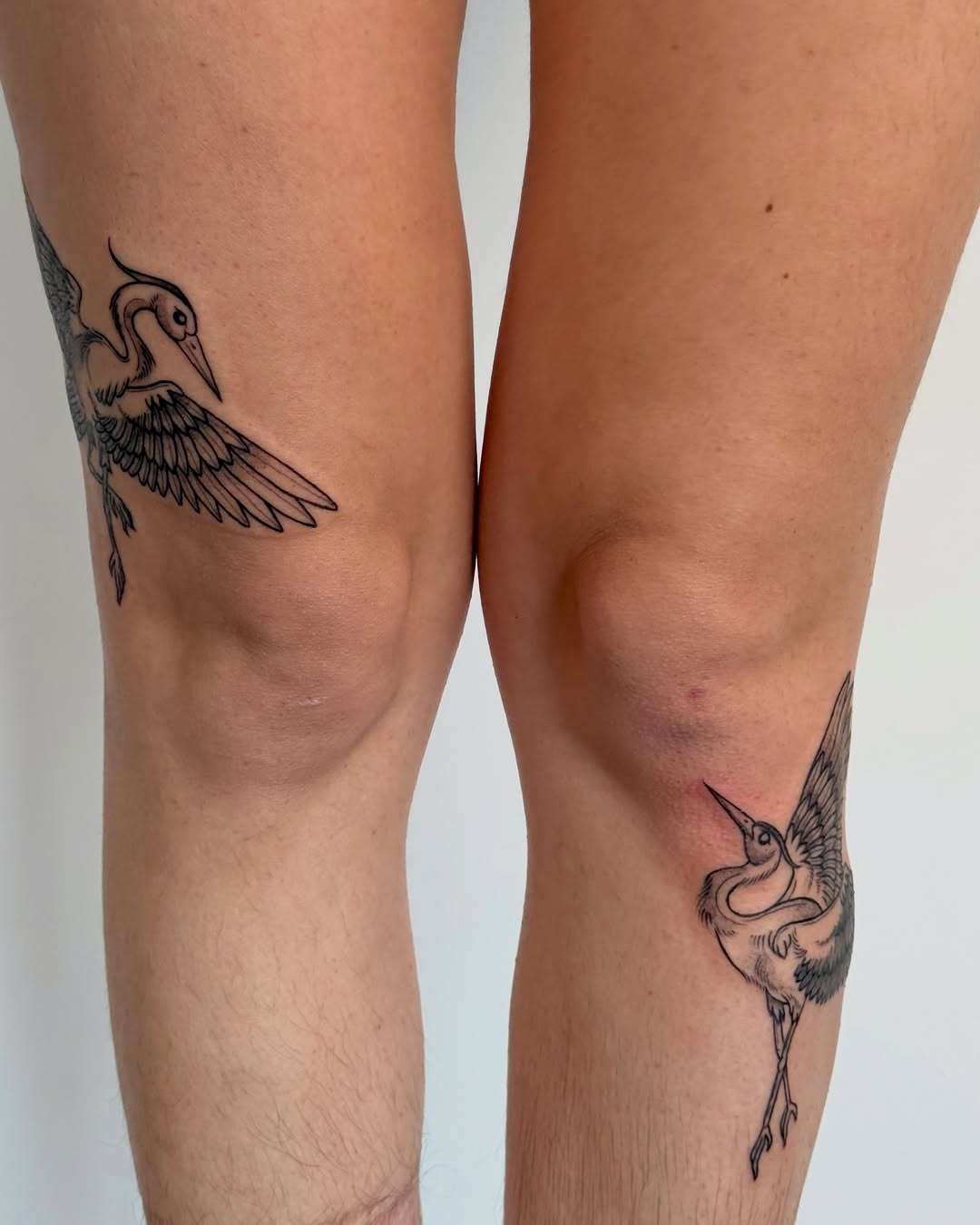 Tattoo by @tattoo.mariah — illustrative, black_and_grey