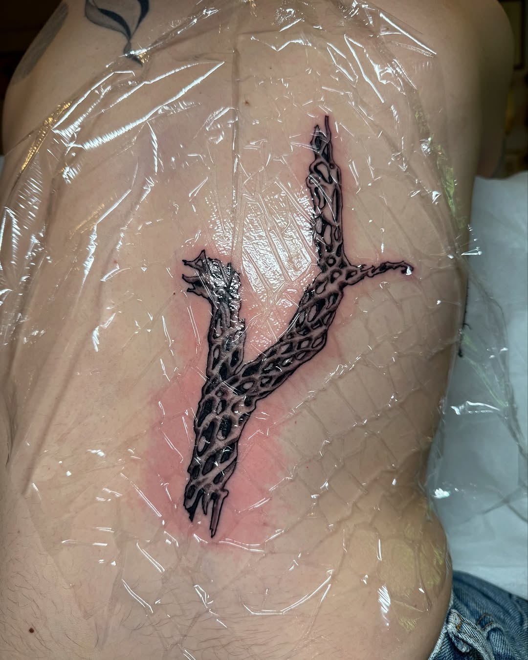 Tattoo by @patternfreak — blackwork, illustrative