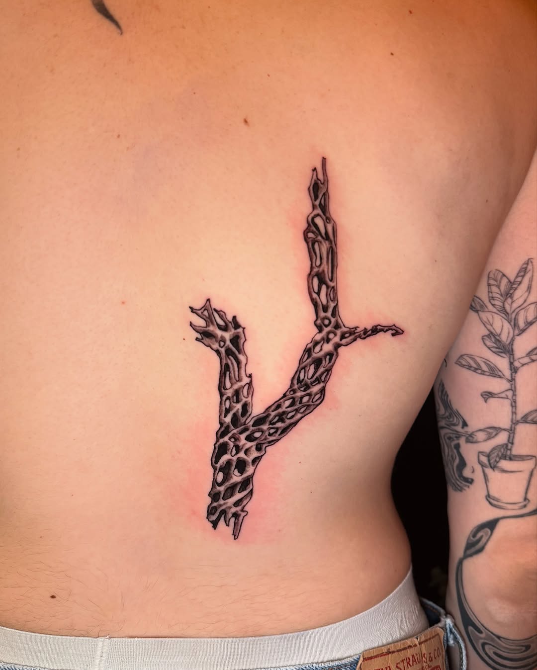 Tattoo by @patternfreak — black_and_grey, illustrative
