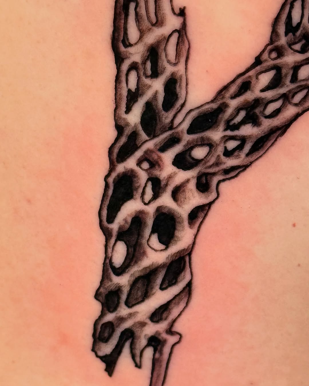 Tattoo by @patternfreak — blackwork, illustrative